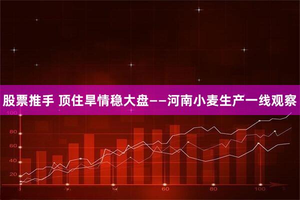 股票推手 顶住旱情稳大盘——河南小麦生产一线观察
