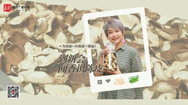 财汇盈 来新会，闻香“识”陈皮｜粤来粤好百千万