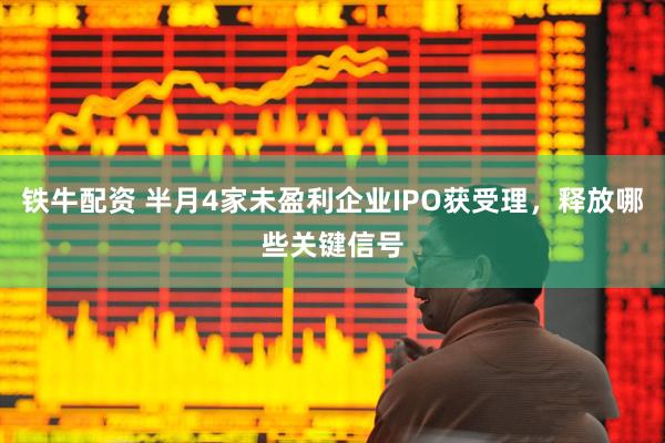 铁牛配资 半月4家未盈利企业IPO获受理，释放哪些关键信号