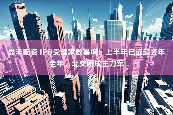 盈丰配资 IPO受理家数暴增！上半年已远超去年全年，北交所成主力军